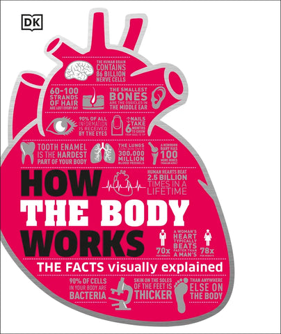 How the Body Works - The FACTS Visually Explained (Hardback)