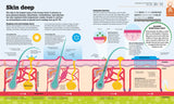 How the Body Works - The FACTS Visually Explained (Hardback)