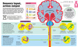 How the Body Works - The FACTS Visually Explained (Hardback)