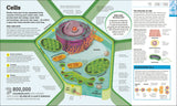 How Science Works - The FACTS Visually Explained (Hardback)