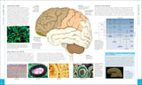 The Brain Book By Rita Carter - An Illustrated Guide To Its Structure, Function, And Disorders (Revised New Edition and Updated)