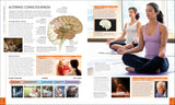 The Brain Book By Rita Carter - An Illustrated Guide To Its Structure, Function, And Disorders (Revised New Edition and Updated)