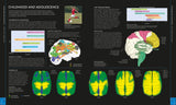 The Brain Book By Rita Carter - An Illustrated Guide To Its Structure, Function, And Disorders (Revised New Edition and Updated)
