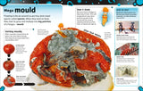 The Bacteria Book By Steve Mould