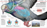 Knowledge Encyclopedia Science!