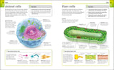 Super Simple Biology - The Ultimate Bitesize Study Guide