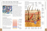 The Concise Human Body Book
