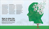 How the Brain Works - The FACTS Visually Explained (Hardback)