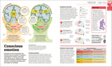 How the Brain Works - The FACTS Visually Explained (Hardback)