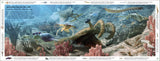 DK Life Through Time (Hardback) By John Woodward