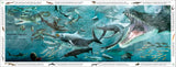 DK Life Through Time (Hardback) By John Woodward