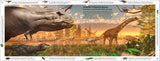 DK Life Through Time (Hardback) By John Woodward