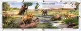 DK Life Through Time (Hardback) By John Woodward