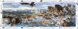 DK Life Through Time (Hardback) By John Woodward