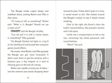 The Secret Explorers and the Comet Collision By SJ King
