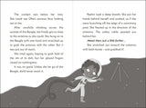 The Secret Explorers and the Comet Collision By SJ King