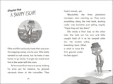 The Secret Explorers and the Rainforest Rangers By SJ King