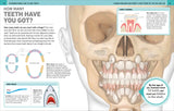 It Can't Be True! Human Body! 1000 Amazing Facts About You