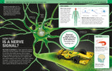 It Can't Be True! Human Body! 1000 Amazing Facts About You