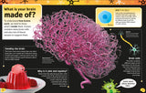 The Brain Book By Liam Drew