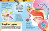 The Brain Book By Liam Drew