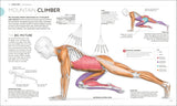 Science of HIIT By Ingrid S. Clay