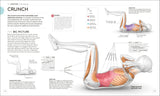 Science of HIIT By Ingrid S. Clay