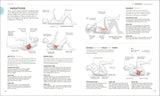 Science of HIIT By Ingrid S. Clay