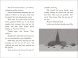 The Secret Explorers and the Ice Age Adventure By SJ King