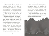 The Secret Explorers and the Ice Age Adventure By SJ King