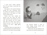 The Secret Explorers and the Ice Age Adventure By SJ King