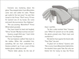 The Secret Explorers and the Haunted Castle By SJ King
