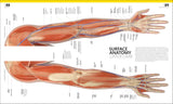 The Complete Human Body By Alice Roberts - The Definitive Visual Guide - 3rd Edition Enhanced & Updated (Hardback)