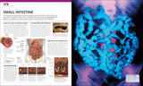The Complete Human Body By Alice Roberts - The Definitive Visual Guide - 3rd Edition Enhanced & Updated (Hardback)