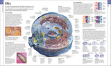 Human Anatomy - The Definitive Visual Guide (Hardback)