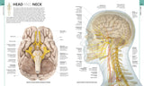 Human Anatomy - The Definitive Visual Guide (Hardback)