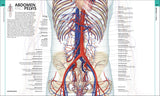 Human Anatomy - The Definitive Visual Guide (Hardback)