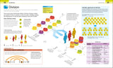 Help Your Kids with Maths, Ages 10-16 (Key Stages 3-4)