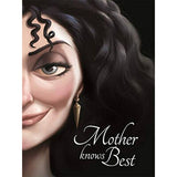 Disney Villain Tales: 4 Book Box Set