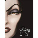 Disney Villain Tales: 4 Book Box Set