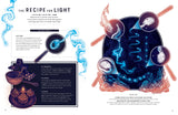 Glow: The Wild Wonders of Bioluminescence Hardcover