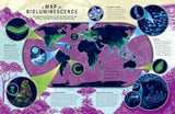 Glow: The Wild Wonders of Bioluminescence Hardcover