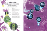 Glow: The Wild Wonders of Bioluminescence Hardcover