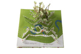 IN THE FOREST Pop Up Book