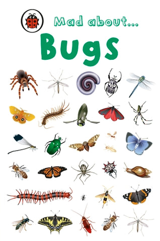 Ladybird Mini - Mad About Bugs