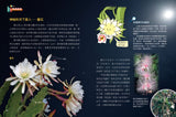 STEM WORLD中國成語系列: 成語中的植物園