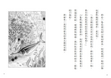 必讀橋梁書 - 人氣作家工藤紀子 - 《野貓軍團和大海怪》