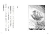 必讀橋梁書 - 人氣作家工藤紀子 - 《野貓軍團和大海怪》