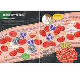 出發吧!人體探險隊 揭開身體消化道、泌尿系統、骨骼肌肉、心臟血管……不可思議的祕密  からだのふしぎ たんけんえほん (たのしいちしきえほん) 作者:監修/阿部和厚 阿部和厚