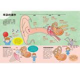 出發吧!人體探險隊 揭開身體消化道、泌尿系統、骨骼肌肉、心臟血管……不可思議的祕密  からだのふしぎ たんけんえほん (たのしいちしきえほん) 作者:監修/阿部和厚 阿部和厚